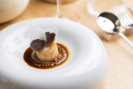 Noix de Saint-Jacques dressée en assiette blanche avec sauce : signature du restaurant Køkken à Strasbourg