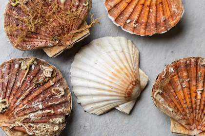 Restaurant Gastronomique Petite France, Strasbourg · Køkken